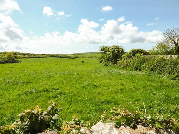 Foxglove Cottage Haverfordwest Esterno foto